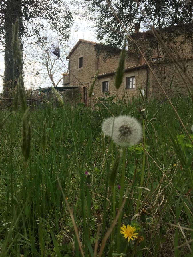 Giardino Di Potentino Seggiano ภายนอก รูปภาพ